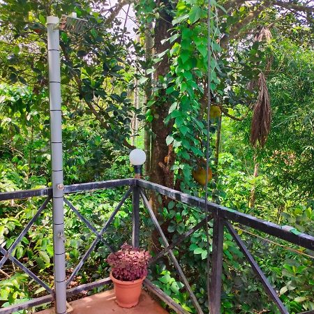 Golden Cypress Resort With Pool -Wayanad Padinjarathara 外观 照片