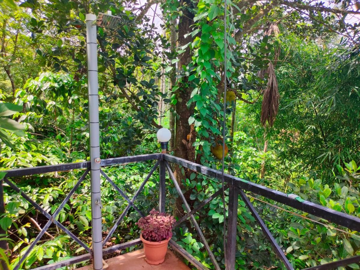 Golden Cypress Resort With Pool -Wayanad Padinjarathara 外观 照片